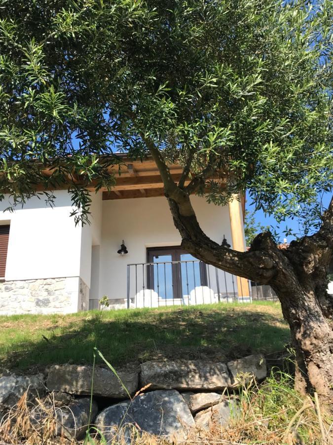 La Casina Del Olivo Villa ริวาเดเซญา ภายนอก รูปภาพ