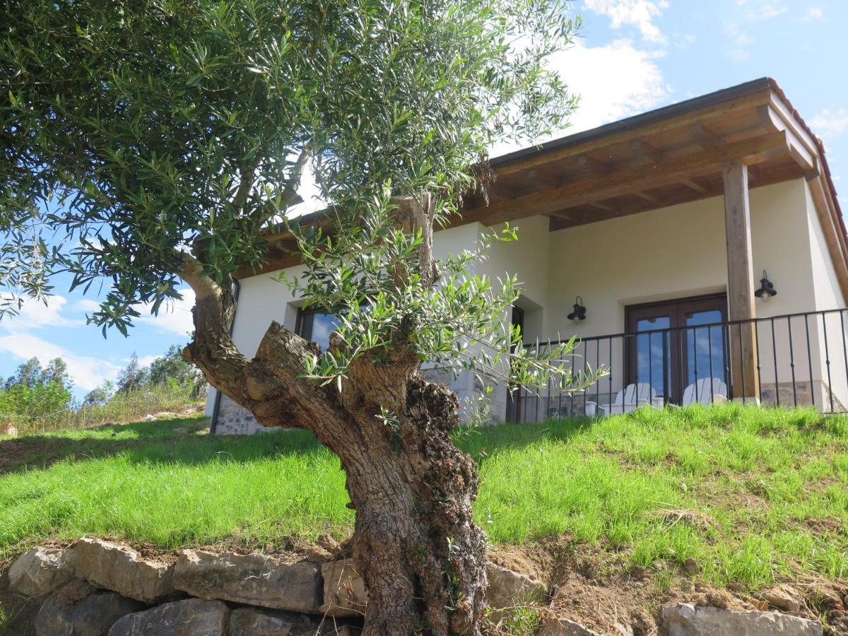 La Casina Del Olivo Villa ริวาเดเซญา ภายนอก รูปภาพ