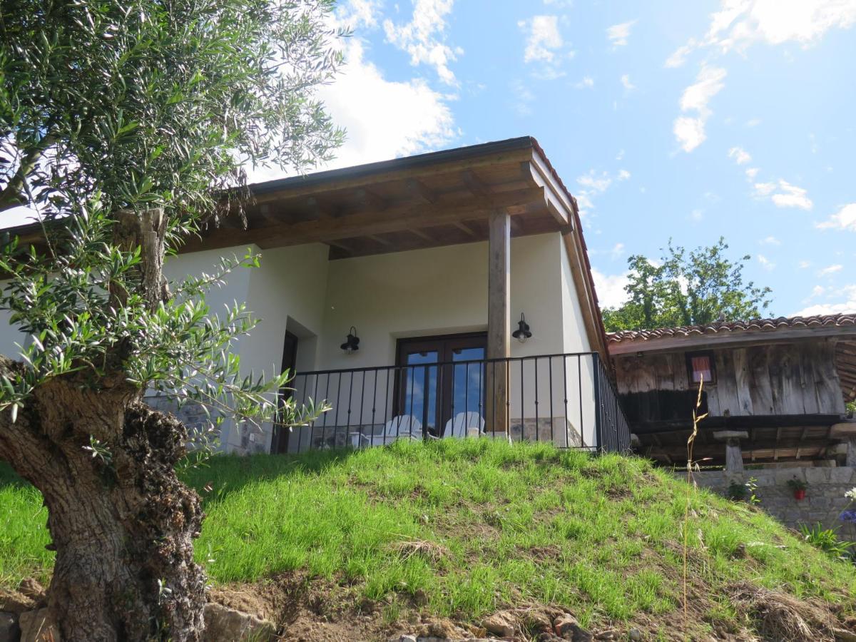 La Casina Del Olivo Villa ริวาเดเซญา ภายนอก รูปภาพ